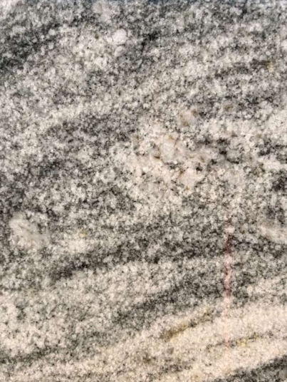 WhatsApp Image 2026-01-16 at 7.32.09 PM