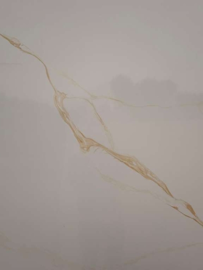 WhatsApp Image 2026-01-16 at 7.32.14 PM