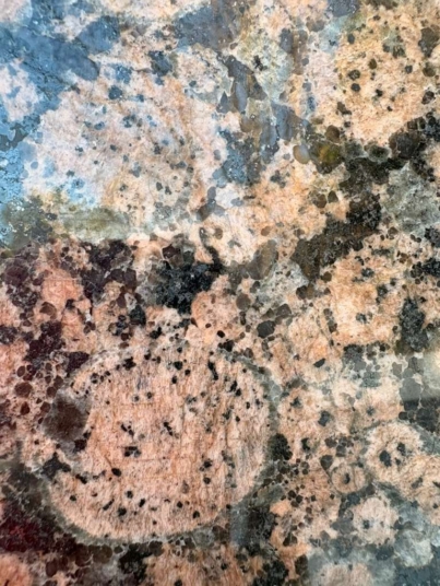 WhatsApp Image 2026-01-16 at 7.32.07 PM