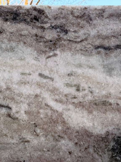 WhatsApp Image 2026-01-16 at 7.32.08 PM (1)