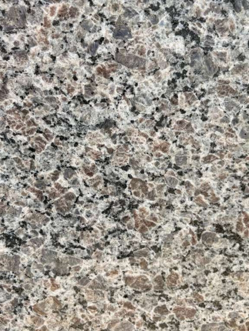 WhatsApp Image 2026-01-16 at 7.32.09 PM (1)